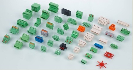 恒利华兄弟电子 网络经营战略与未来展望