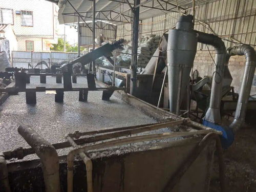 7月1日严控污染 关停不合格塑料企业，刑拘7人，32家废塑料加工厂面临排污许可证危机